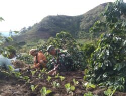 Wujud Kepedulian: Babinsa Dampingi Kelompok Tani dalam Mewujudkan Ketahanan Pangan