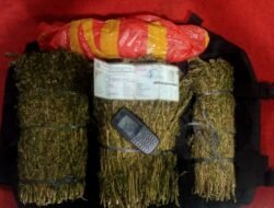 Nekat Bawa 2 KG Ganja Kering, Seorang Pria Dibekuk Satreskoba Polres Aceh Tengah