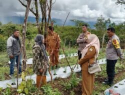 Polres Aceh Tengah Tinjau Lahan Ketahanan Pangan Dukung Program Swasembada Nasional