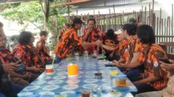 IMG-20241115-WA0012