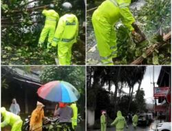 Polsek Sukawati Bersama BPBD, Bersihkan Pohon Tumbang Halangi Jalan