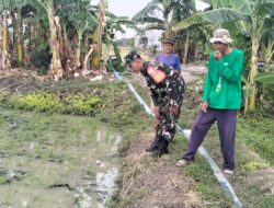 Wujudkan Ketahanan Pangan, Babinsa Bantu Petani Melakukan Pengairan Sawah Dengan Pompanisasi