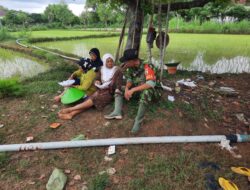 Babinsa Koramil 17/Tanjung Bumi Komsos Sekaligus Dampingi Petani Tanam Padi