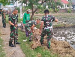 Dukung Program KASAD, Babinsa Koramil Tambaksari Siapkan Lahan Untuk Penanaman Pohon Keras