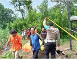 Polres Malang Selidiki Penemuan Mayat Perempuan di Gubuk Persawahan Kepanjen