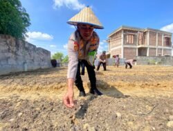 Kapolsek Muara Dua Tanam Benih Jagung dan Kembang Kol, Dukung Program Pemanfaatan Lahan Produktif