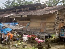 Miris! Karyawan PTPN lV Ajamu 1 Tempati Perumahan Dinas Tidak Layak Huni di Pondok Wesel Ajamu.