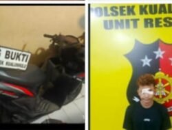 Unit Reskrim Polsek Kualuh Hulu Ringkus Pelaku Pembobol Alfamidi di Rantauprapat.