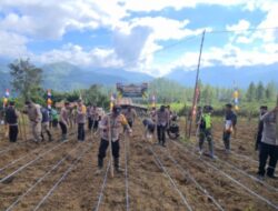 Dukung Program Pemerintah Kapolsek Linge Bersama Muspika dan Masyarakat Tanam Jagung Serentak di Kampung Gelampang Gading