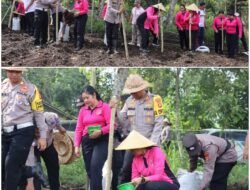 Kapolres Karangasem Pimpin Penanaman Jagung Ketan, Dukung Program Ketahanan Pangan