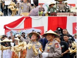 Irwasum Polri Pimpin Panen Jagung Serentak di Madiun, Wujudkan Astacita