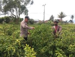 Polres Bener Meriah Bekerja Sama Dengan Masyarakat Wujudkan Program Ketahanan Pangan
