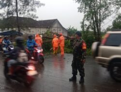 Respon Cepat! Babinsa Benjeng Tanggap Darurat Pohon Tumbang di Jalan Raya