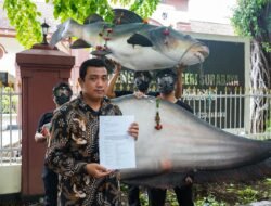 Dukung Putusan MA Kasus Ikan Mati Sungai Brantas, KOPIPA Usung Bangkai Ikan Ke Pengadilan Negeri Surabaya