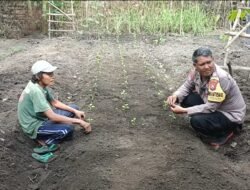 Bhabinkamtibmas Desa Senjayan Bersama Warga Manfaatkan Lahan Sela untuk Dukung Ketahanan Pangan