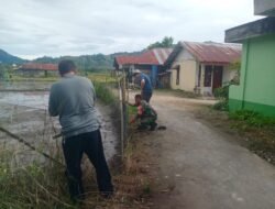 Babinsa Koramil 03/An Bantu Warga Pasang Jaring Pagar Sawah di Aceh Tengah