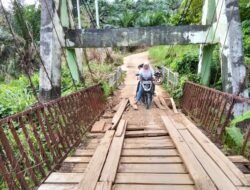Kerusakan Fisik Terus Menggerogoti Jembatan Kayu Di Desa Rancan.
