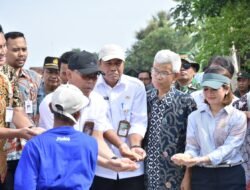 BULOG Cetak Rekor Tertinggi 10 Tahun Terakhir, Penyerapan Gabah Petani Capai 725.000 Ton Setara Beras