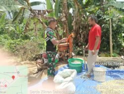 Babinsa Mendukung Untuk membantu Perekonomian warga binaan