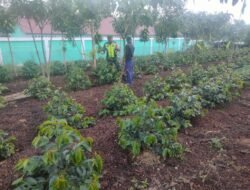 Babinsa Jalin Komunikasi Sosial Dengan Petani Kopi