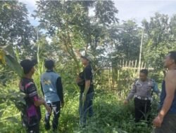 Tiga Terduga Pencuri Alpukat di Karangploso Diamankan, Polisi Amankan Mobil Pikap dan Barang Bukti
