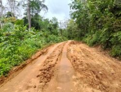 Akses.Jalan.Desa Baru Sakai Ke Desa Sekancing Ilir Rusak Parah,Perlu Perhatian Pemerintah kabupaten Merangin dan DPRD.