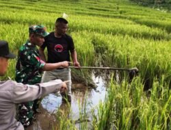 Antisipasi Satwa Liar, Kapolsek Serbajadi Imbau Warga Menjaga Ternaknya