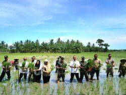 Zoom Nasional: Presiden Prabowo Pimpin Gerakan Tanam Padi Serentak Di 14 Provinsi, Dandim 0103/Aut Hadiri Kegiatan Di Aceh Utara