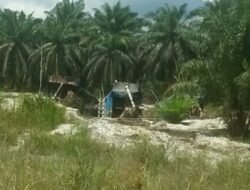 Mohon izin. Pak Kapolres. Tiga Set Tambang Mas iligal Milik Gitok. Sedang Meraja Lela Di Wilayah Sungai Kuning. Desa Tambang Baru Kabupaten Merangin. Tampa Di Sentuh Aparat Penegak Hukum Pores Merangin.