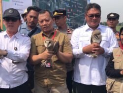 Arahan Presiden Prabowo Kementerian Pertanian Serahkan 1.000 Burung Hantu untuk Mengatasi Hama Tikus di Kabupaten Majalengka.