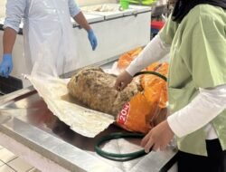 K9 Polri Turun Tangan Selidiki 2 Anjing Shelter, Diduga Mati Diracun di Sentul