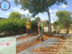 Babinsa Koramil Atu Lintang Dampingi Petani Desa Merah Mege Tingkatkan Ketahanan Pangan