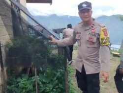 Bhabinkamtibmas Polsek Bintang Cek Perkembangan Tanaman Pangan Bergizi di Kampung Binaan
