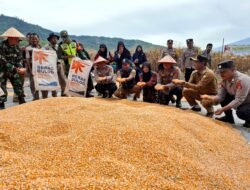 Panen Raya Jagung Binaan Polres Aceh Tengah Capai Hasil 36 Ton Di Kampung Mulie