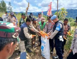 Kapolres Aceh Tengah Pimpin Panen Jagung Serentak Kuartal II di Lahan Produktif Polsek Pegasing