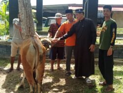 Maknai Idul Adha 1446 H, Kapolda Kalteng Sumbang PWI Seekor Sapi untuk Kurban