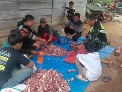 Babinsa Koramil 07/Atu Lintang Bersama Warga Tanoh Abu Bagikan Daging Kurban