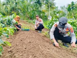 Dukung Ketahanan Pangan, Polsek Celala Polres Aceh Tengah Giatkan Peninjauan Lahan Produktif