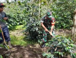 Babinsa Bantu Warga Olah Lahan Ketahanan Pangan di Desa Paya Tungel