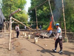 Polsek Bagor Tindak Lanjut Aduan Warga, Bongkar Arena Perjudian Sabung Ayam di Sugihwaras