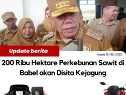 200 Ribu Hektare Perkebunan Sawit Bangka Belitung Segera Akan di Sita Kejagung 90% Kades Terlibat