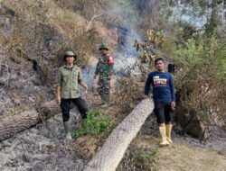 Babinsa dan Tim Ranger Sigap Padamkan Kebakaran Hutan di Linge