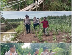 Kapolres PALI Tinjau Lahan Tanam Jagung Serentak Nasional Wujudkan Ketahanan Pangan dan Sinergi TNI-Polri dengan Rakyat
