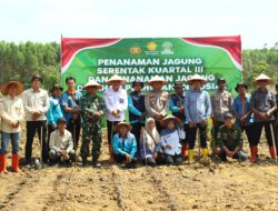 Penanaman Jagung Serentak Kuartal III di Lahan Perhutanan Sosial Desa Sugihan, Polsek Rambang Dukung Ketahanan Pangan Nasional