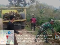 Babinsa Celala Bantu Warga Angkut Kayu Bakar di Berawang Gading