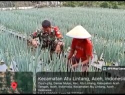 Babinsa Atu Lintang Dampingi Petani Tingkatkan Perawatan Bawang Daun di Desa Damar Mulyo