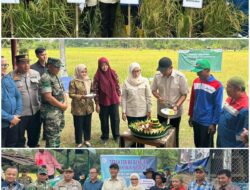 PANEN RAYA DI REJOSARI, BUPATI PALI AJAK MASYARAKAT WUJUDKAN KEDAULATAN PANGAN Kapolres PALI: Polri Siap Kawal Ketahanan Pangan Nasional