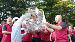 IMG-20250725-WA0093