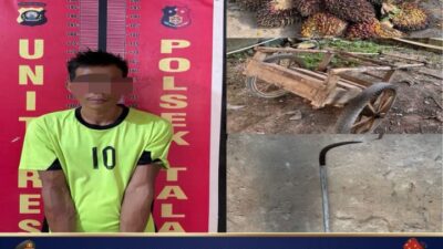 Polsek Talang Ubi Bekuk Pelaku Pencurian Sawit di PT. Surya Bumi Agrolanggeng
