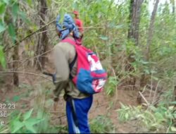 n PPD.Pembanguan Tanoh Gayo(BUMD) Berbenah Mendata Lahan Pinus di Konsesi,Kampung Simpang Tiga Uning dan Kemerleng,